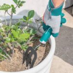 Fourche de jardinage  THFTF38 – Image 2